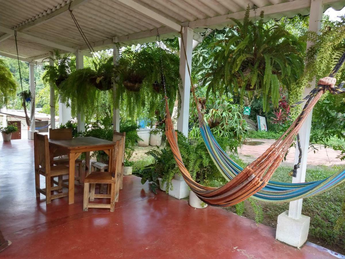 Hostel Villa Silvia Минка Экстерьер фото